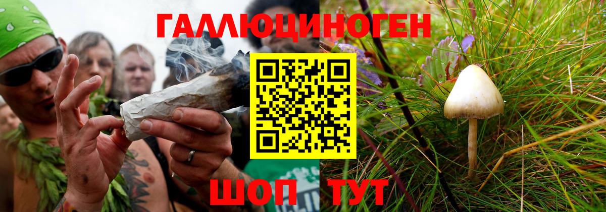 Псилоцибиновые грибы MAGIC MUSHROOMS  где купить   Галлюциногенные грибы Psilocybe  Наро-Фоминск  Вход с VPN 