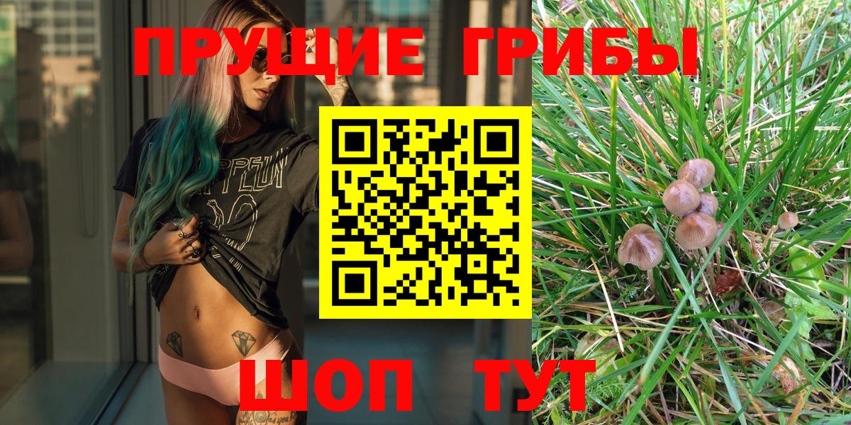 Галлюциногенные грибы Cubensis  Галлюциногенные грибы MAGIC MUSHROOMS  Наро-Фоминск 